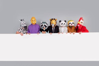 Portrait of zebra gorilla raccoon lion panda sloth rooster mask people hold empty space placard isolated on grey color background. clipart