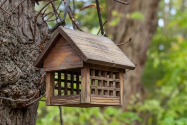 Sonbahar Park ahşap kuş Besleyici