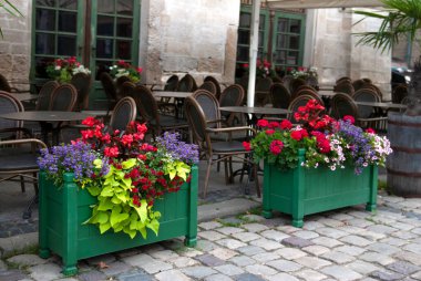 Lviv 'in merkezinde saksıları olan boş bir restoran. Ukrayna