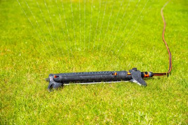 Bahçeyi fıskiyeyle sulamak.