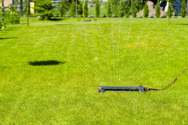 スプリンクラーで庭に水をやる — ストック写真