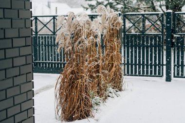 Evin karla kaplı girişi.