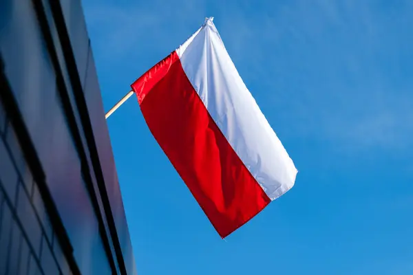 Mavi gökyüzü arka planında Polonya bayrağı