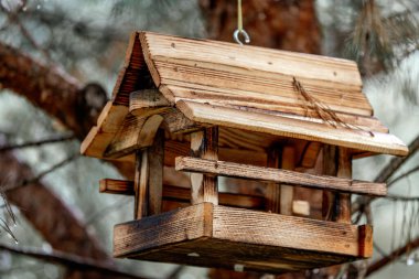 Kışları ağaçta sallanan kuşlar için kuş yemi