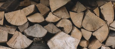 Yığının üzerinde duran baharatlı odun.