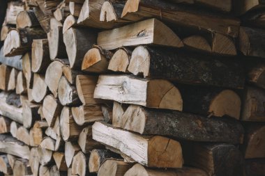 Yığının üzerinde duran baharatlı odun.