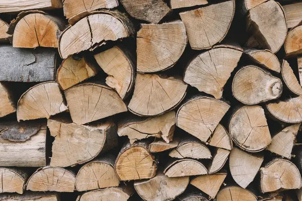 Yığının üzerinde duran baharatlı odun.