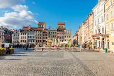 Parktaki beyaz tavus kuşu