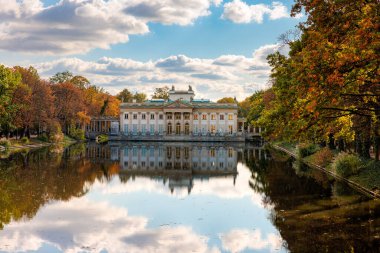 Parktaki beyaz tavus kuşu