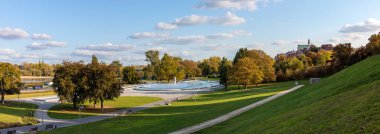 Parktaki beyaz tavus kuşu