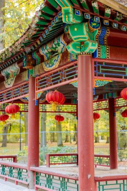 Parktaki beyaz tavus kuşu