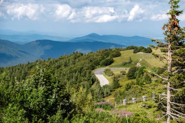 Yazın dolambaçlı dağ yolu
