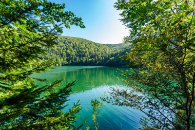 Alsace 'deki Ballon Gölü