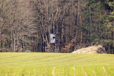Av durağı ormanın ve tarlanın kenarında