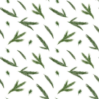 Noel ağacıyla suluboya arka plan. Bir tutam çam, ladin. Kış kusursuz desen. Botanik baskısı