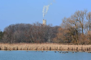 Yandaki sulak alanları etkileyen kentsel büyüme ve gelişim duman bulutlarını havaya salıyor.