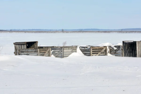 Empty vegetable shipping crates on snow covered agricultural field