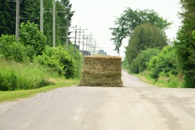 Bir saman vagonundan düşen bir köy yolunu tıkayan güvensiz bir yükün büyük yuvarlak saman balyası. 