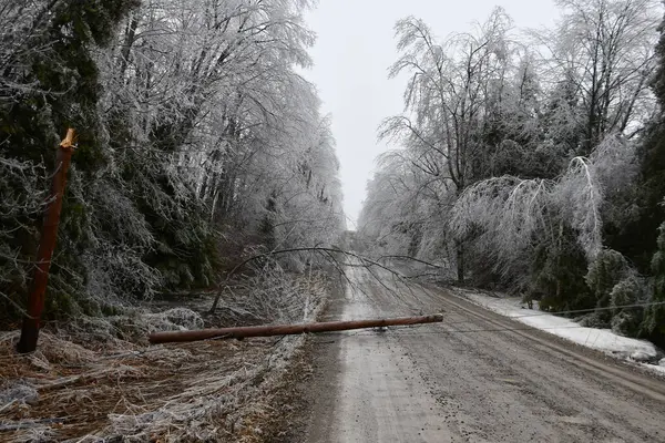 Kırsal bir yol boyunca uzanan buz fırtınası hidroelektrik direğini lanetledi