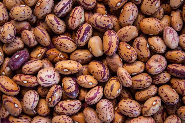 Kidney beans background. Top view of dried kidney beans.