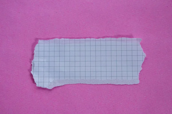 Kostkovaný Kus Papíru Růžovém Pozadí Roztrhaný Papír Místem Pro Kopírování — Stock fotografie