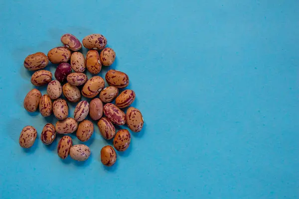 stock image Kidney beans isolated on blue background. Top view photo of dried kidney beans with copy space.