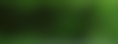 Pürüzsüz yeşil çözünmüş arka plan. Tasarımlar için bulanık zemin. Web sitesi afişi, reklam projesi, ürün gösterimi için kullanabilirsiniz..