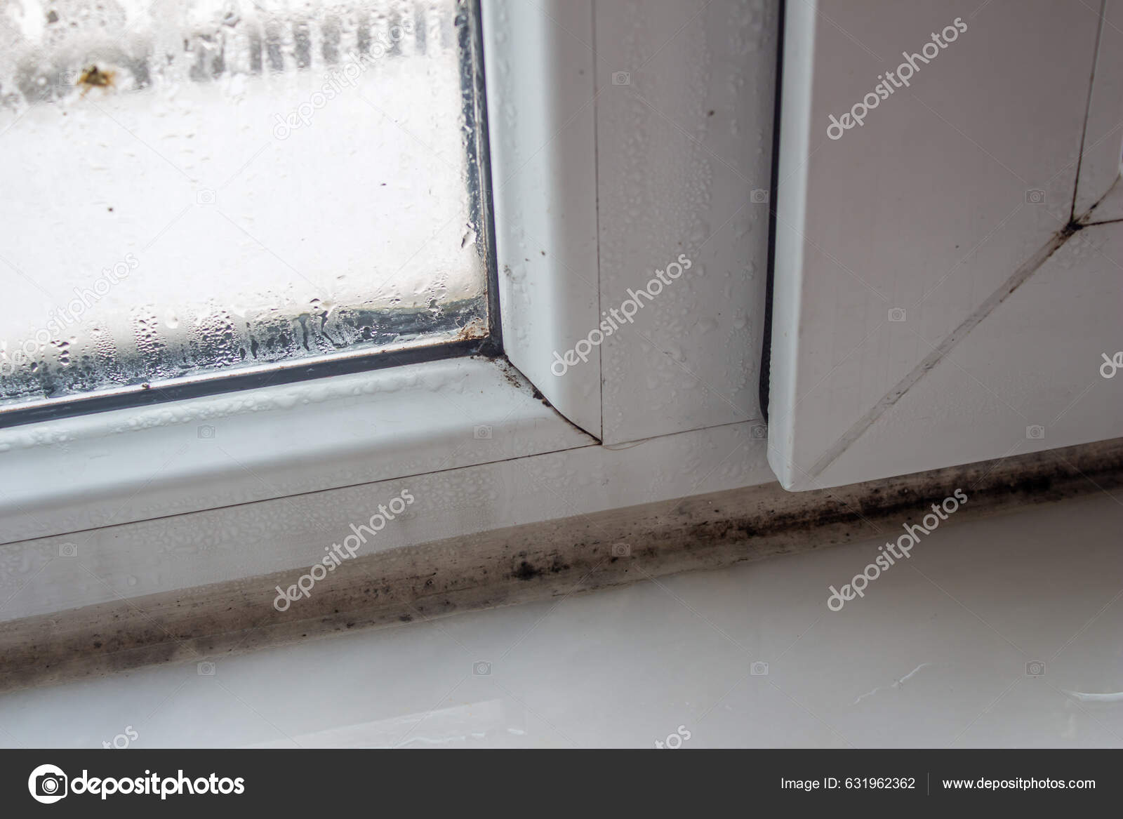 how to get rid of black mold window sill