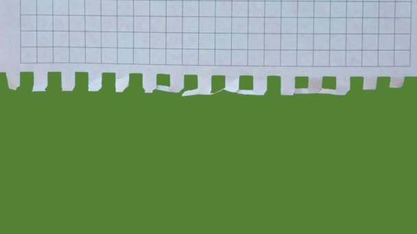 Καρό Χαρτί Πράσινο Φόντο Chroma Οθόνης Animation Χαρτιού Αντιγραφικό Χώρο — Αρχείο Βίντεο