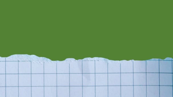 Zerrissenes Kariertes Papier Auf Grünem Chromaschlüssel Hintergrund Papier Dia Animation — Stockvideo