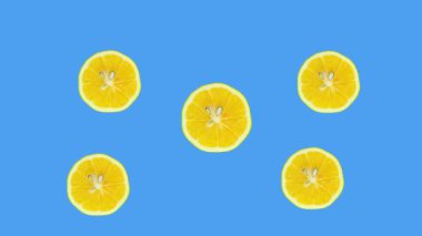 Mavi arka planda limon dilimleri. Limon meyvelerinin hareketini durdur.