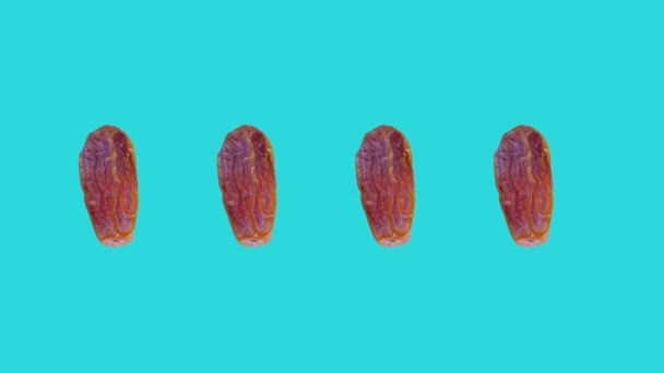 Date Fruits Rotating Blue Background — Stockvideo