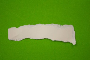 Blank torn paper isolated on green background. Top view of white paper piece with copy space.