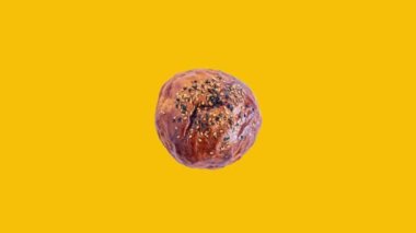 Turkish bakery product pogaca rotating on yellow background