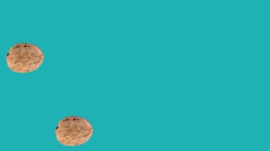 Dried walnuts on blue background
