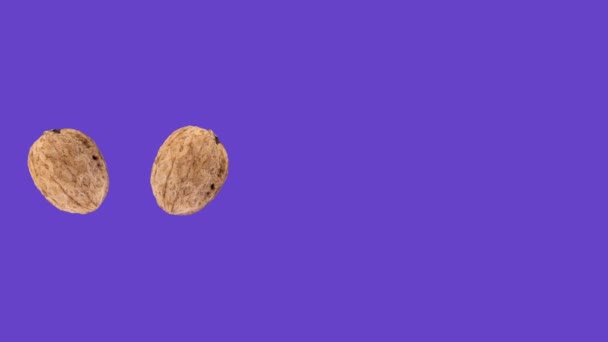 Dried Walnuts Rotating Purple Background — Stockvideo