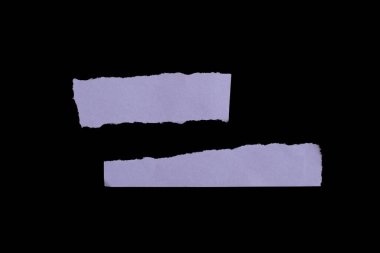 Set of torn paper pieces isolated on black background. Ripped paper.