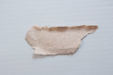 Ripped paper on grey background. Torn paper piece with copy space for text.