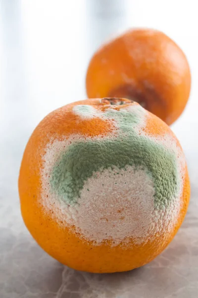Penészes Narancs Gyümölcsök Asztalon Romlott Élelmiszerek — Stock Fotó