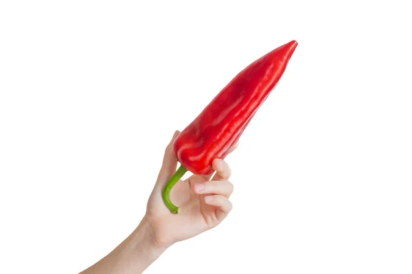 Hand Hält Rote Chilischote Auf Transparentem Hintergrund — Stockfoto