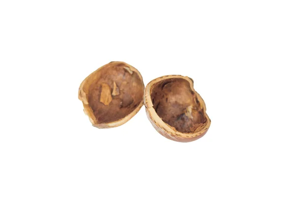 乾燥したヘーゼルナッツの殻は白い背景に隔離されています トップビュー フラットレイアウト — ストック写真