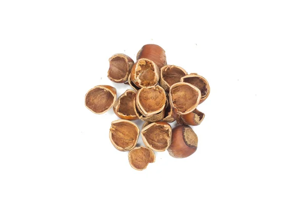 Dried hazelnut shells isolated on a white background. Top view, flat lay.