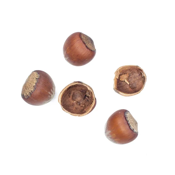 Hazelnuts Изолированы Белом Фоне Вид Сверху Плоский — стоковое фото