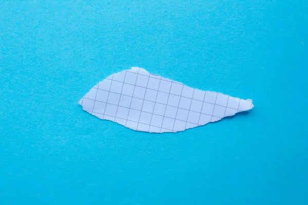 Graph paper torn piece isolated on a blue background. Ripped checkered paper. Top view, flat lay.