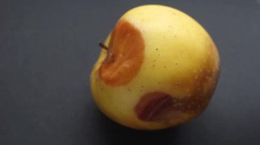 Elin çürük bir elmayı tutuyor. Bozulmuş meyve israfı.
