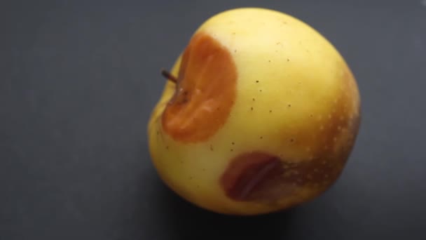 Mano Che Tiene Una Mela Marcia Rifiuti Frutta Viziata — Video Stock