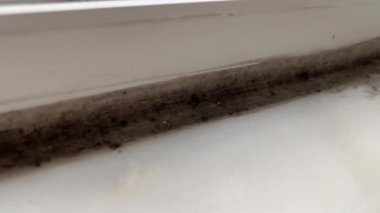 Pencere ve duvar arasındaki küflü alanlar