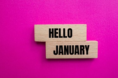 Hello january message written on wooden blocks with pink background. Conceptual hello january symbol. Copy space.