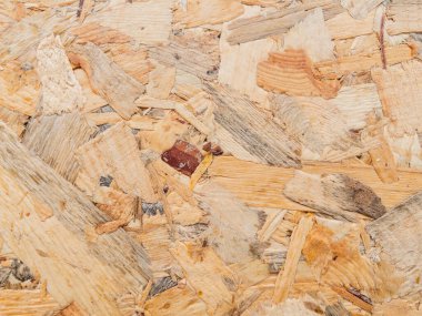 Tam kare ahşap yüzey dokusu arkaplanını kapat