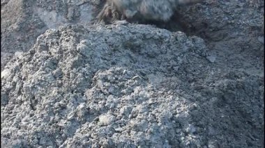 İnşaat ortamında beton harcı karıştıran kürek.